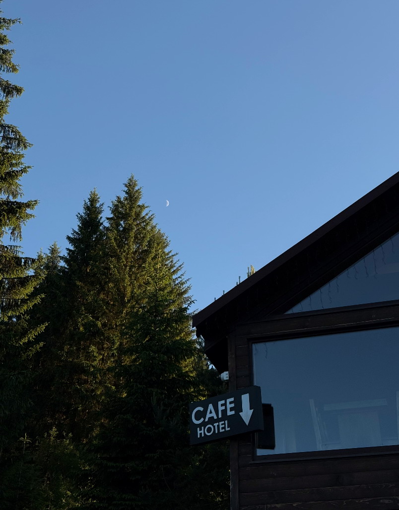 Карпатський ліс